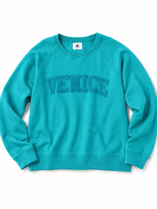 Sundry Tops - Antrho Sunnyside by Sundry relaxed coastal green crew neck pullover sweatshirt